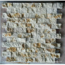 Мозаичная плитка из мраморного камня (HSM221)